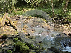 Small mountain river GerovÃÂica, Zamost - Region of Gorski kotar, Croatia / Mala gorska rijeka GerovÃÂica photo